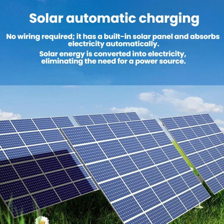 TBD06064269_B4.jpg@b80e8387c7553bf455aa4f7bd2685df6